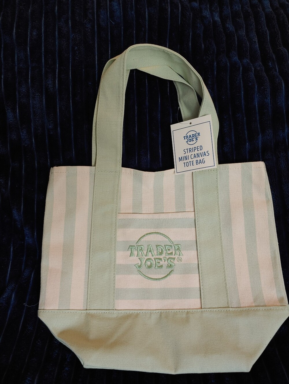 Striped Mini Canvas Tote Bag - Mint & Cream